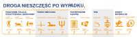 Infografika seminarium